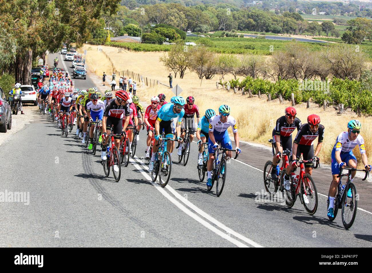 Mitfahrer auf der Stufe 1 im Jahr 2020 die Tour Down Under reiten durch Bethanien im Barossa Valley in Australien. Die Bühne wurde von Sam Bennett (IRE) von t gewonnen Stockfoto