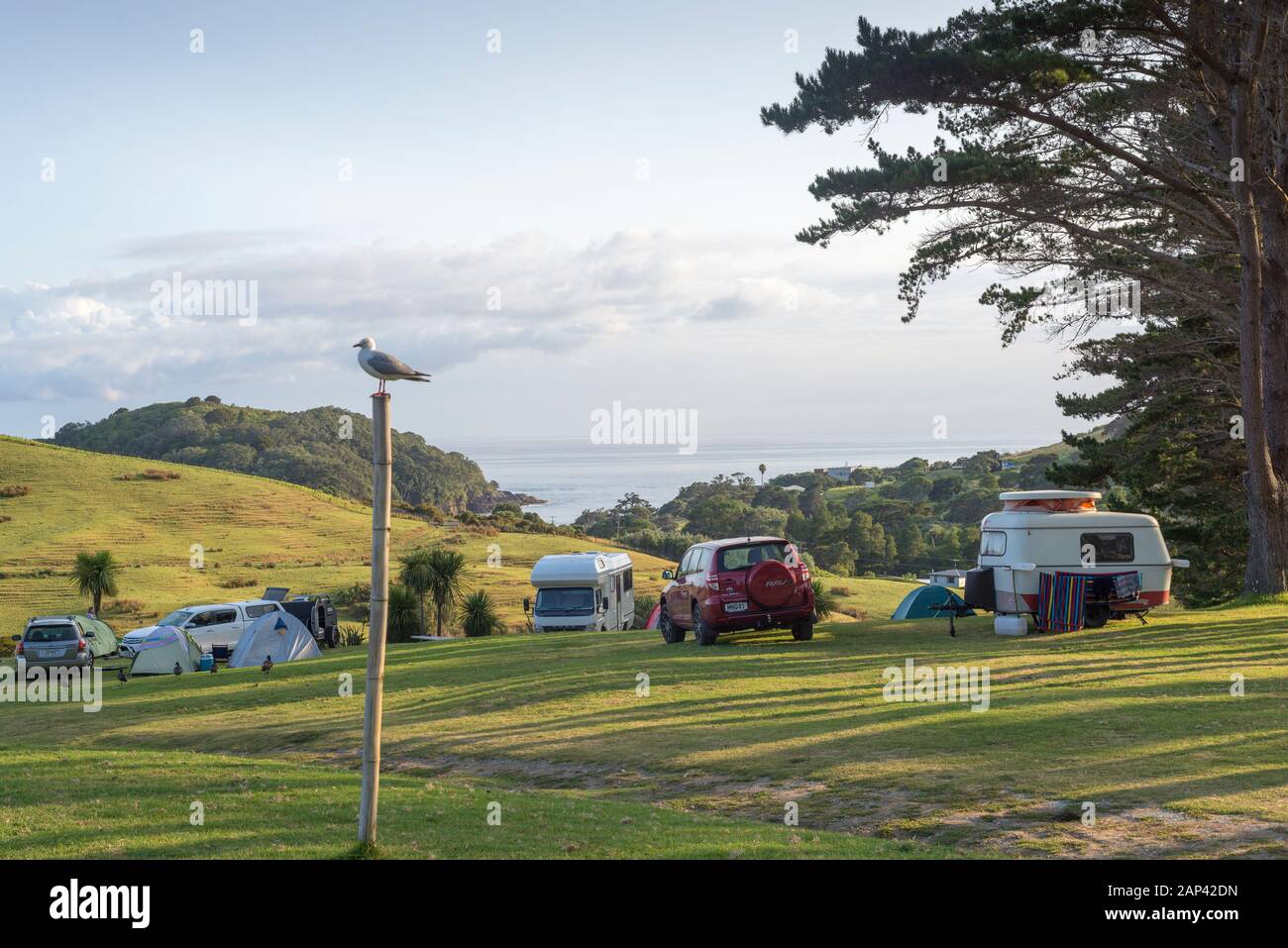 Ländliches Camp in der Nähe Der Ziegeninsel, Neuseeland Stockfoto