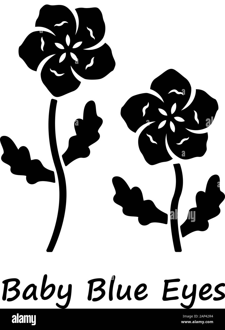 Baby blaue Augen glyph Icon. Bettwäsche blühende Blume mit Namen Inschrift. Nemophila menziesii Gartenpflanze. Blau Flachs. Wildblumen blühen. Silhouette sy Stock Vektor