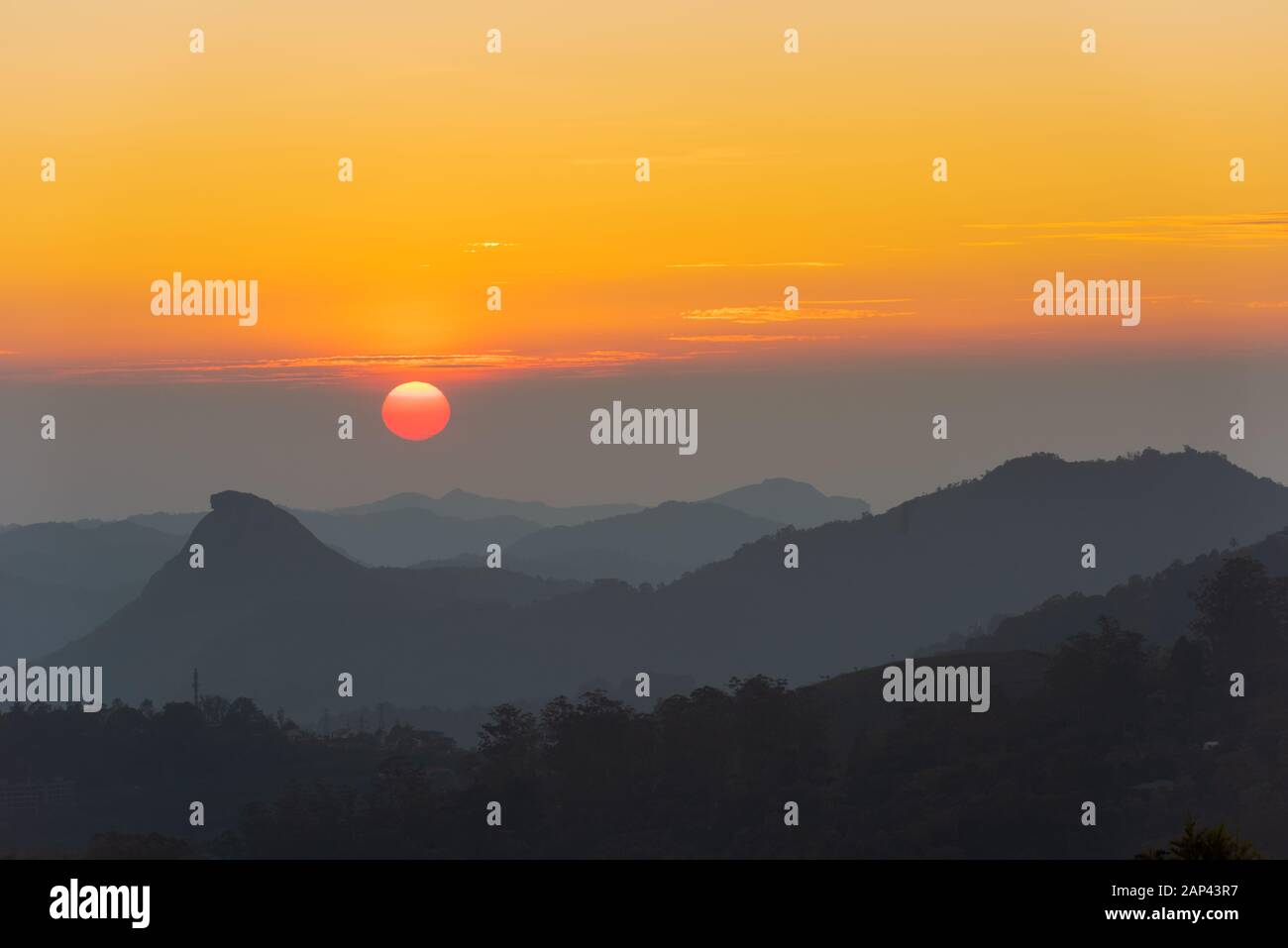 Malerische Aussicht über Tee Plantage in der Nähe von Suhl in Kerala, Südindien bei Sonnenuntergang Stockfoto