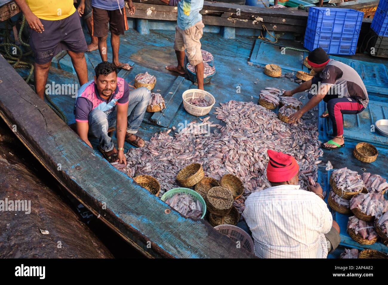 Fischer auf einem Fischerboot in Sassoon Docks, einem Fischerhafen in Colaba, Mumbai, Indien, sortieren ihren Fang aus Stockfoto