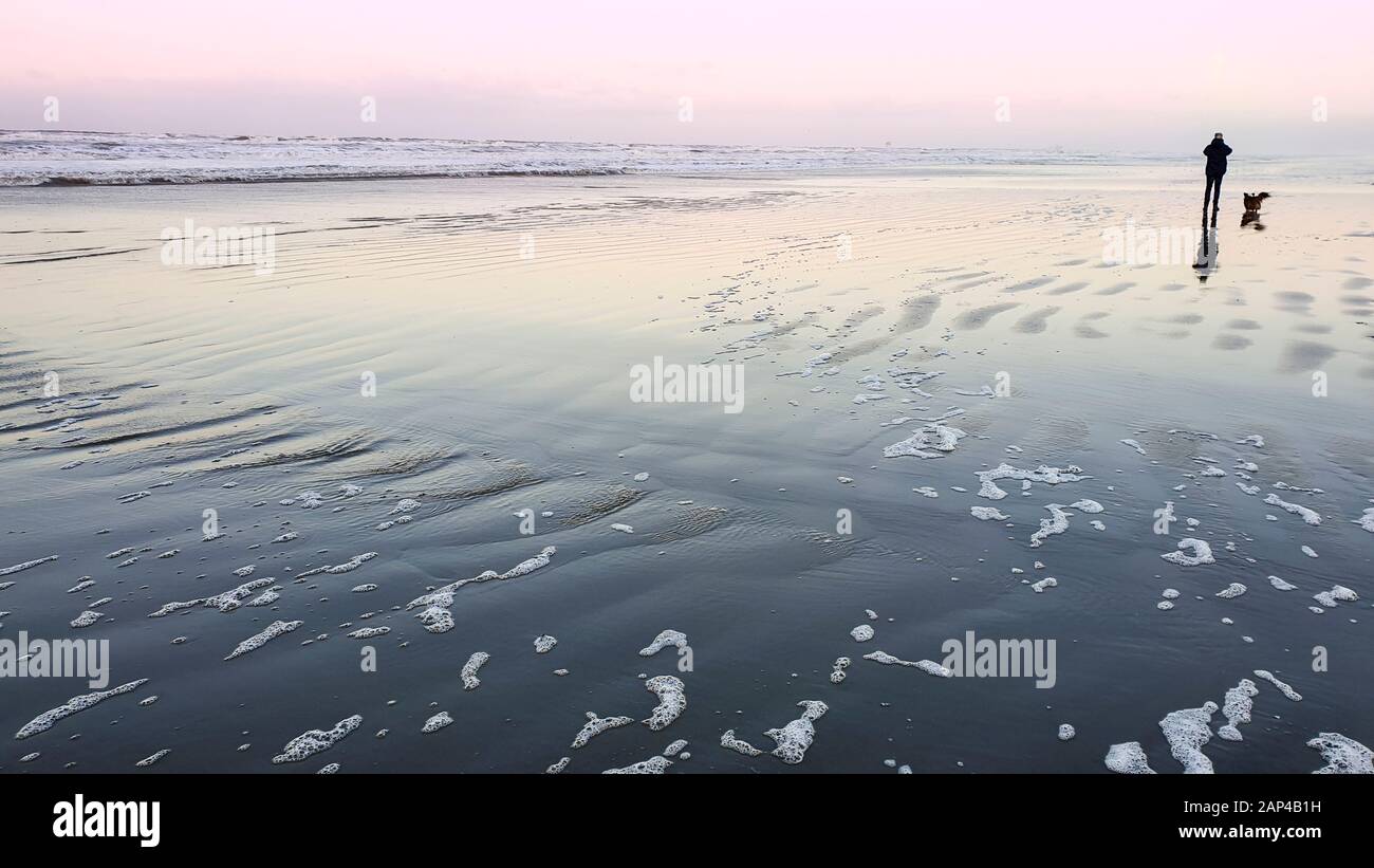 Am späten Nachmittag an einem kalten Winterstrand wandern ein Mann und sein walisischer corgi-hund am Wasserrand, friesisch Wattenmeerinsel Ameland, Niederlande Stockfoto