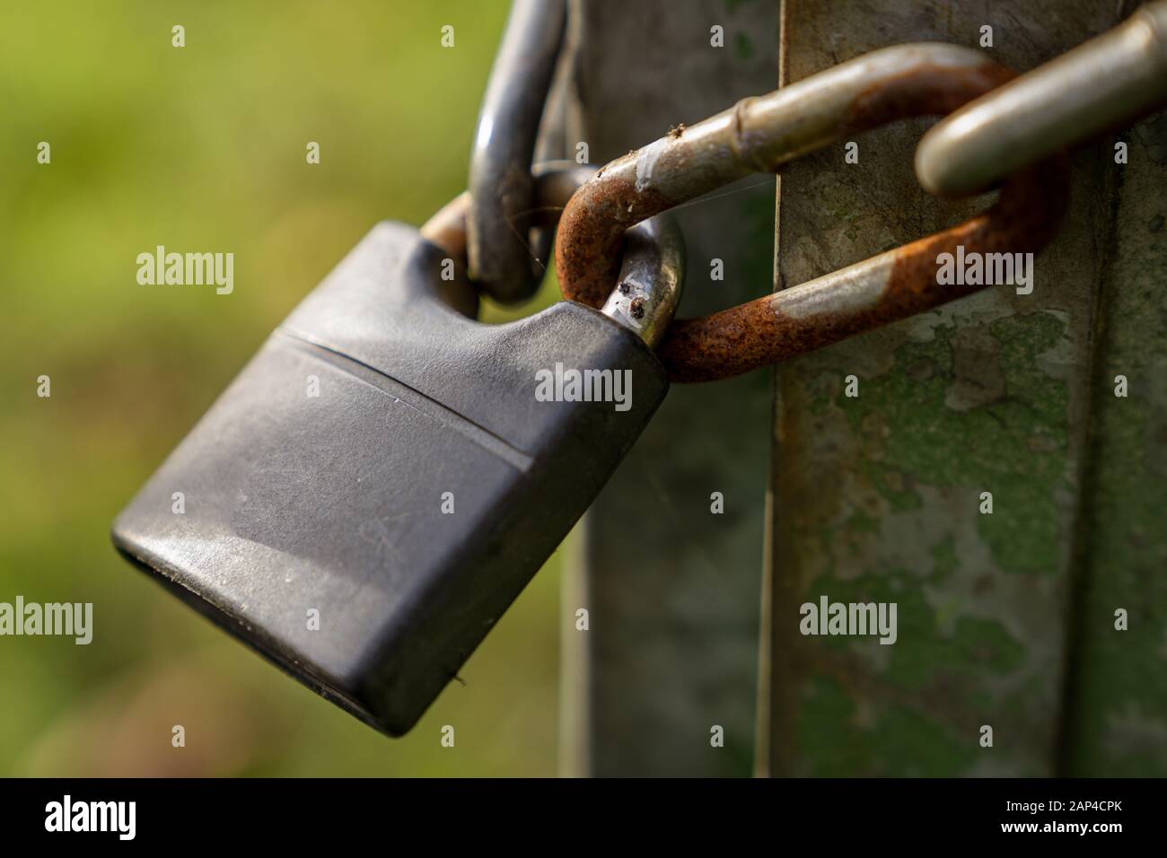 Eine Eisenkette mit einem Vorhängeschloss an einem Tor Stockfoto