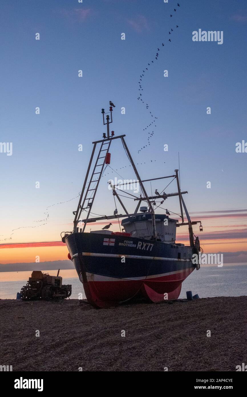 Hastings, East Sussex, Großbritannien. Januar 2020. Am Stade Fischerstrand bricht der Sonnenaufgang auf, während Gänse von ihren Nachtplätzen fliegen. Carolyn Clarke/Alamy Live News Stockfoto