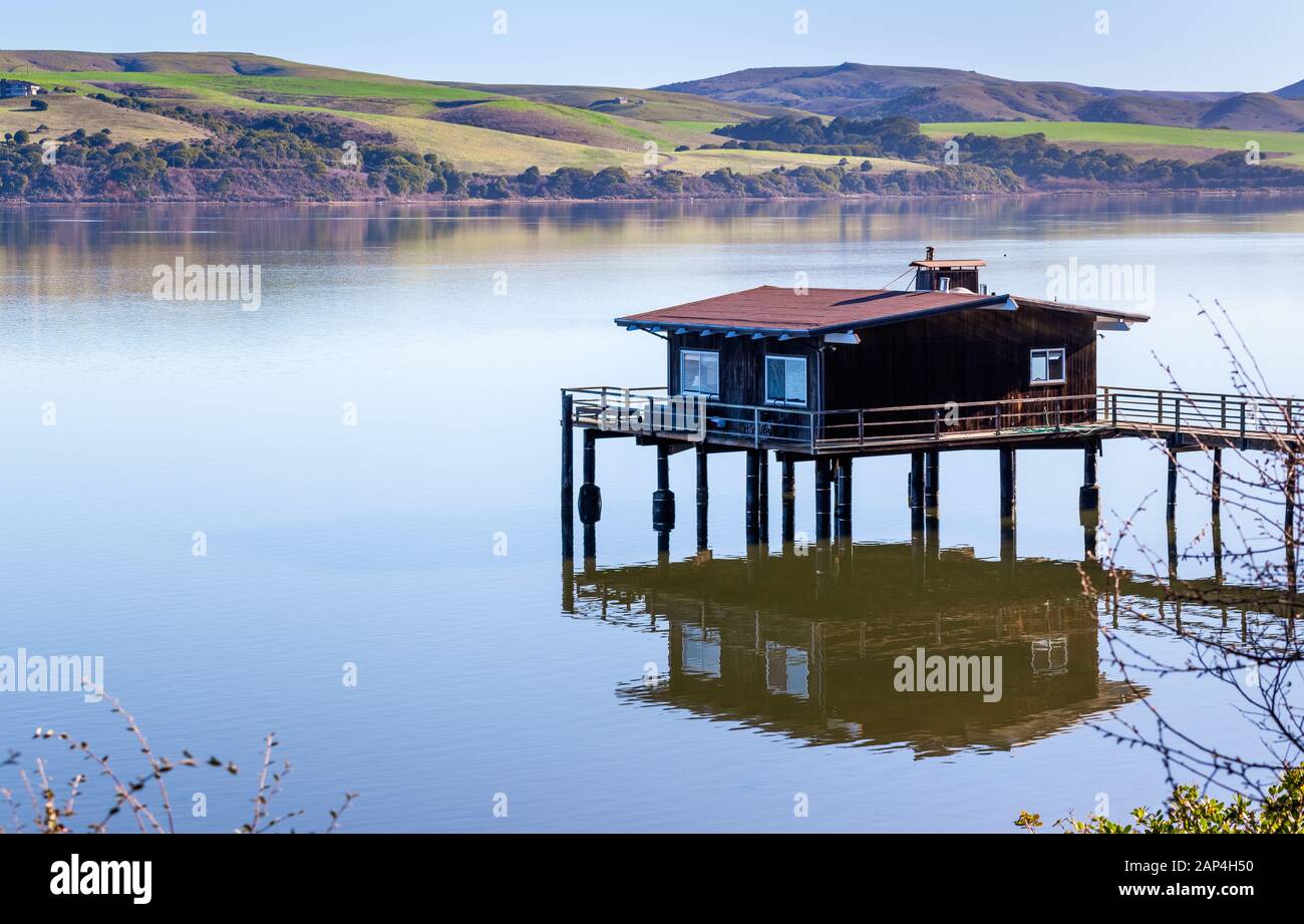 Haus auf Stelzen auf der Küstenlinie von Tomales Bay, North San Francisco Bay Area, Kalifornien Stockfoto