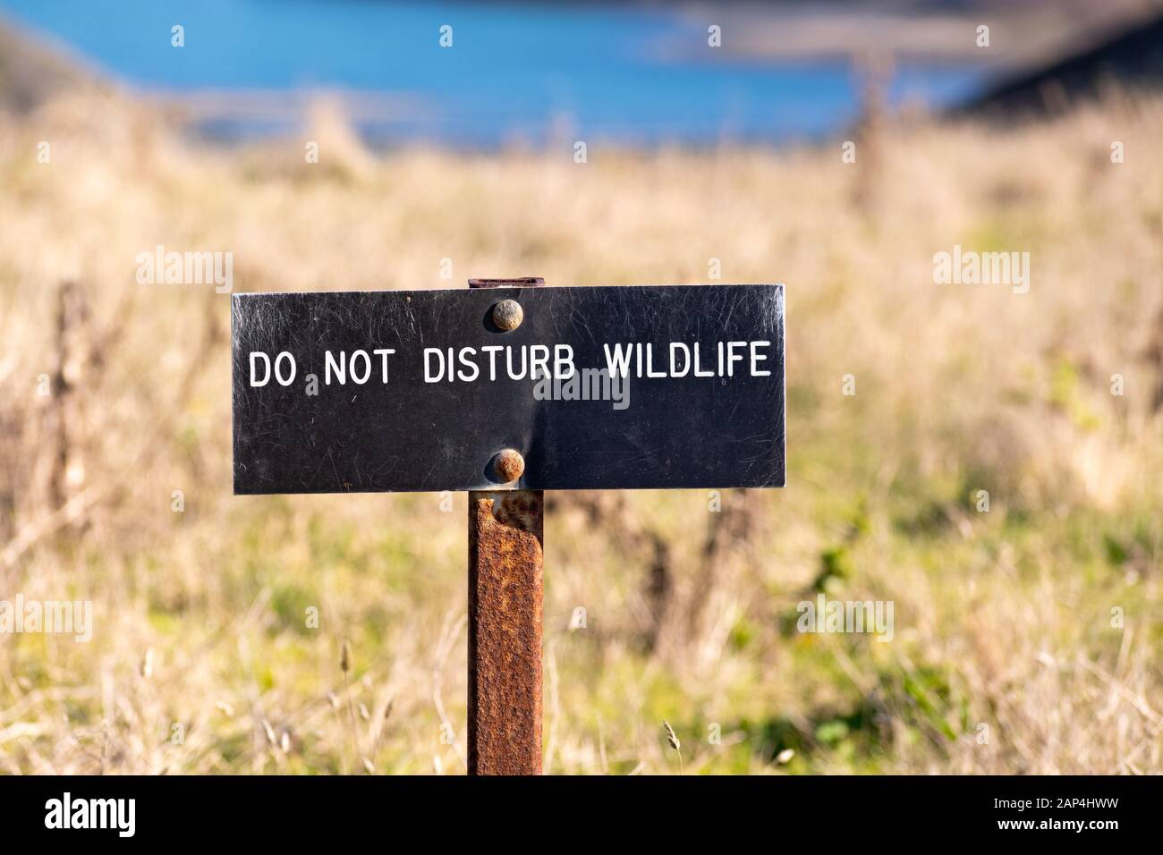 Nicht wildlife Zeichen in einem Nationalpark posted stören, Kalifornien Stockfoto