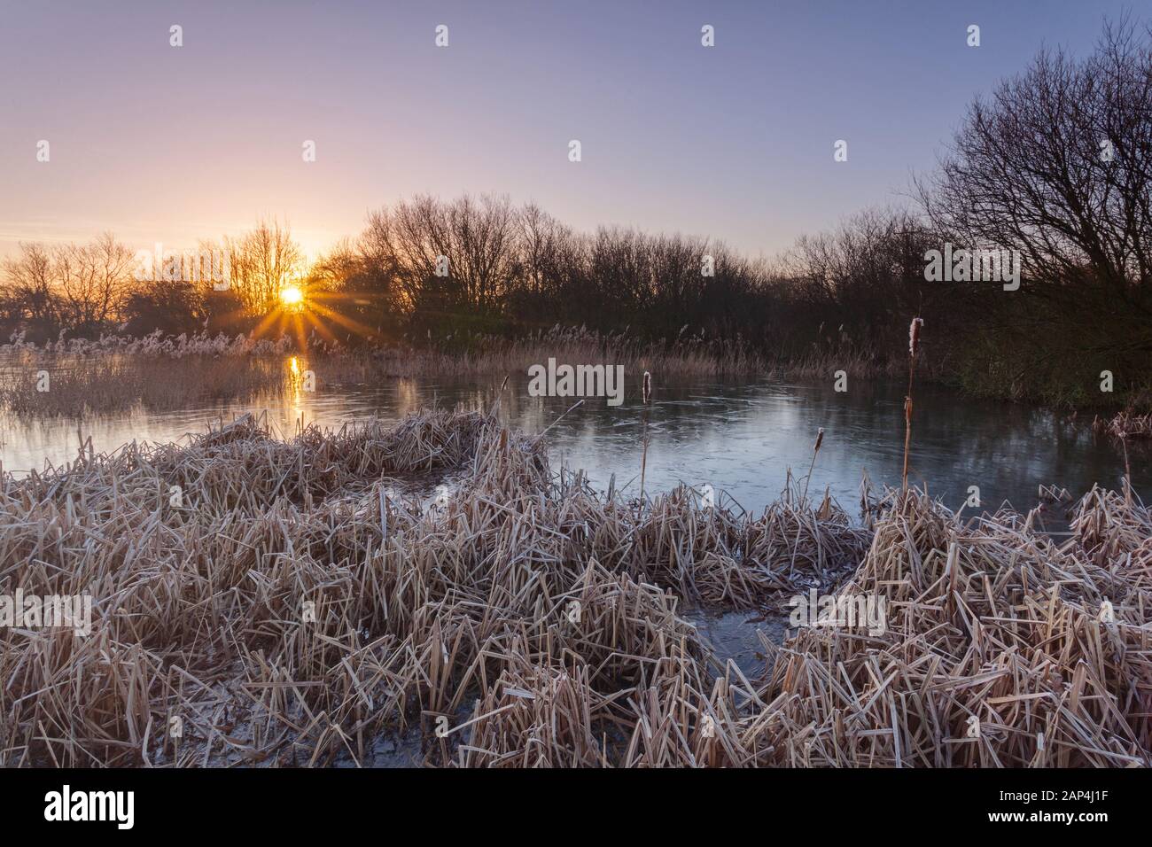Barton-upon-Humber, North Lincolnshire, Großbritannien. 21. Januar 2020. UK Wetter: Sonnenaufgang an einem frostigen Morgen im Winter an einem Naturschutzgebiet. Quelle: LEE BEEL/Alamy Leben Nachrichten. Stockfoto