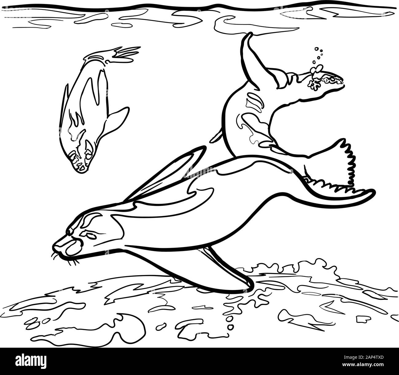 Gruppe von Wasser Robben schwimmen, spielen twerling & tun Akrobatik unter  Wasser Stock-Vektorgrafik - Alamy