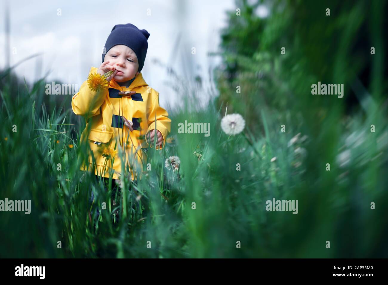Kind in der gelben Jacke spielen in Gras und Löwenzahn Stockfoto