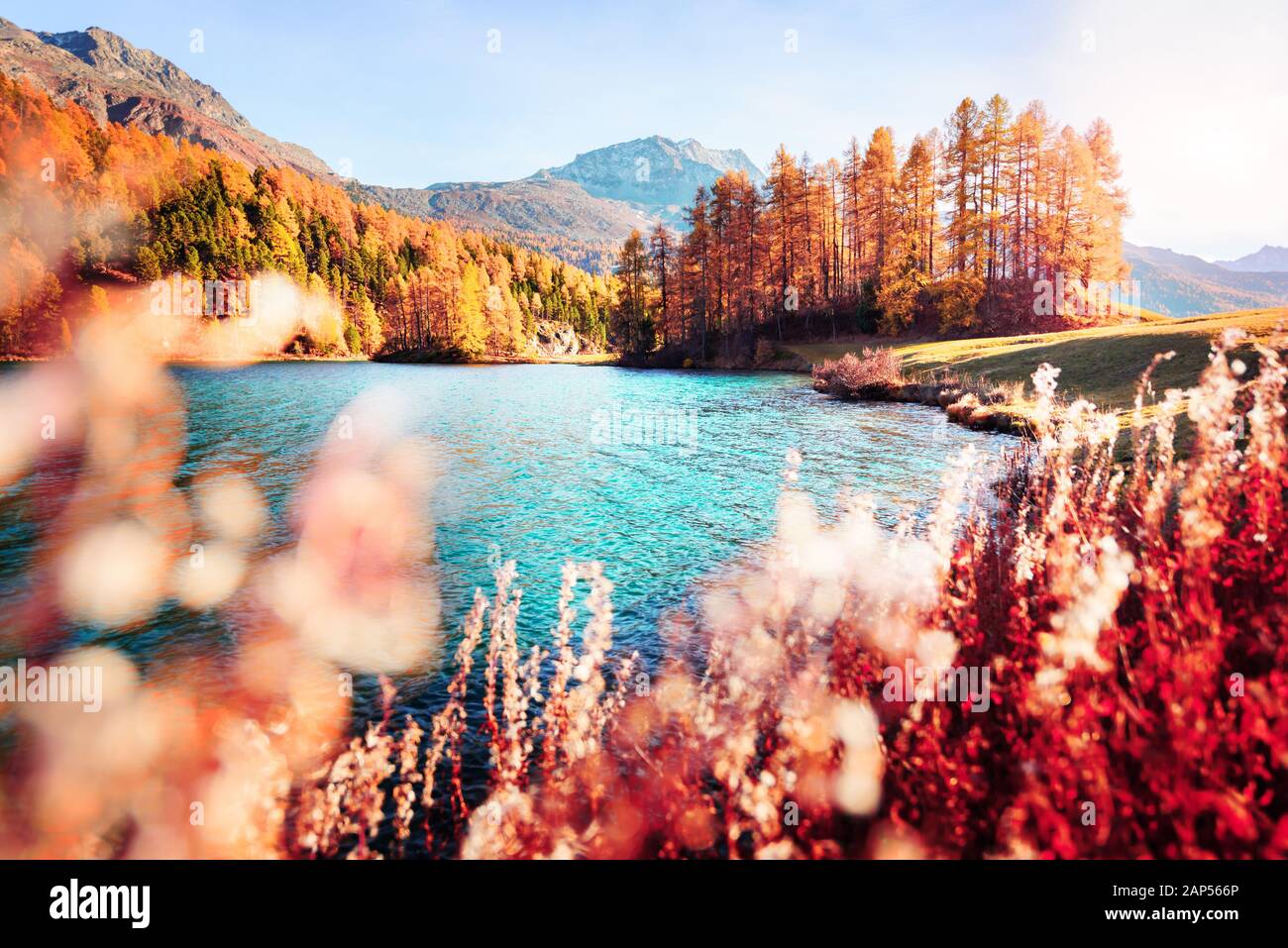 Malerischer Blick auf Silvaplana See in den Schweizer Alpen, Schweiz. Landschaftsfotografie Stockfoto