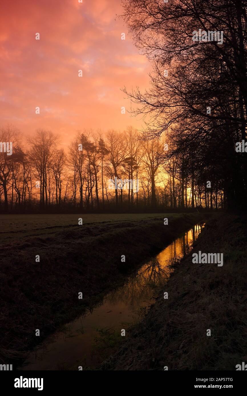 Rötliche Sonnenaufgang in Diessen, Niederlande mit Baumsilhouetten VI Stockfoto