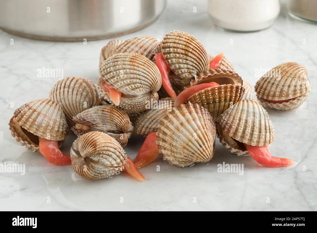 Haufen frischer Krickliger mit einem verlängerten langen Fuß zum Kochen Stockfoto