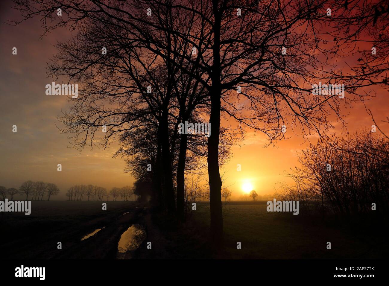 Rötliche Sonnenaufgang in Diessen, Niederlande mit Baumsilhouetten V Stockfoto