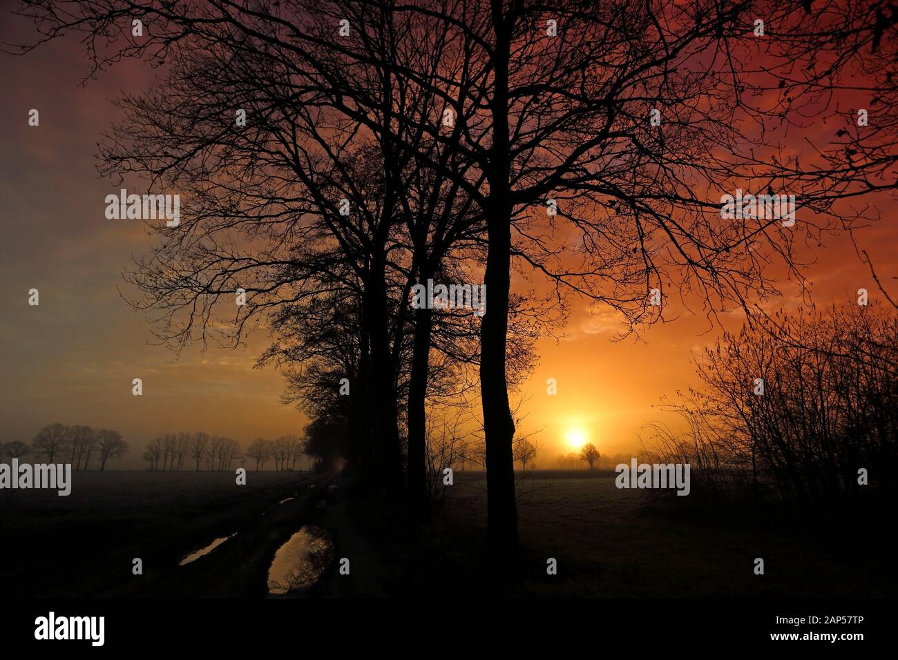 Rötliche Sonnenaufgang in Diessen, Niederlande mit Baumsilhouetten IV Stockfoto