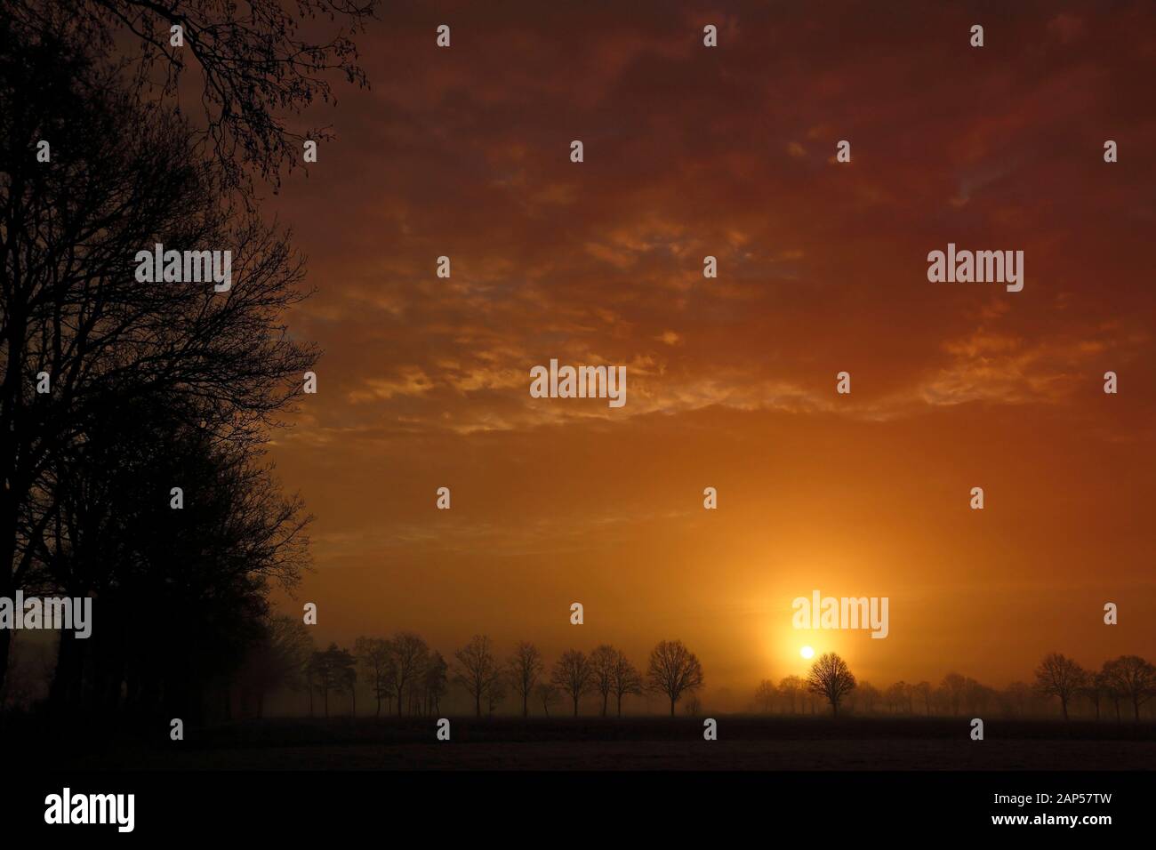Helle rote Sonnenaufgang in Diessen, Niederlande mit Baumsilhouetten III Stockfoto