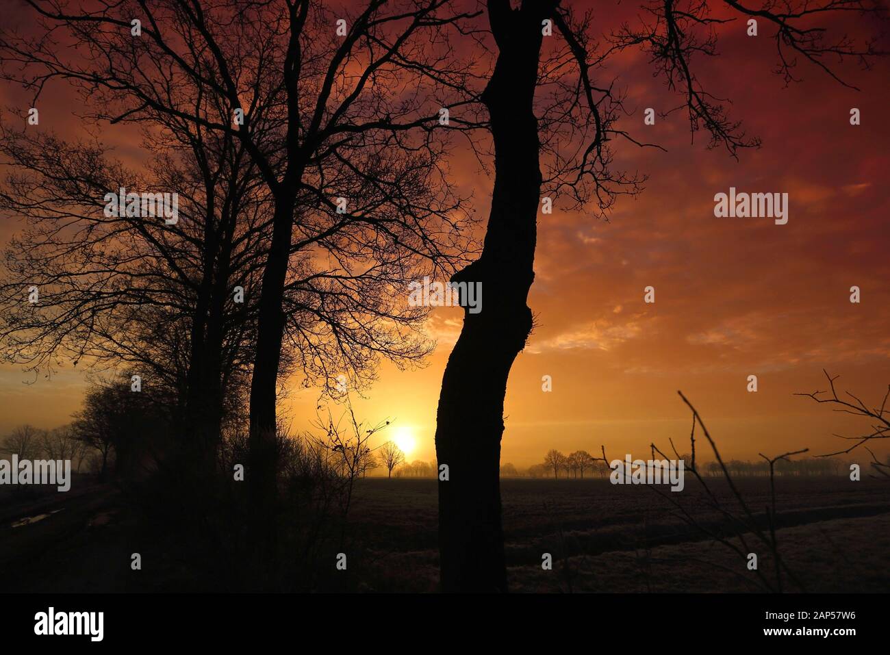 Rötliche Sonnenaufgang in Diessen, Niederlande mit Baumsilhouetten II Stockfoto