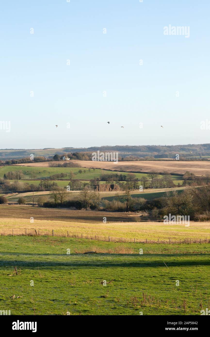 Die Landschaft von Lincoln, Großbritannien - ein Blick über die Landschaft im Süden von Lincoln, an einem sonnigen Tag im Januar, im Dorf Lusby, in der Grafschaft Lincoln, Großbritannien Stockfoto