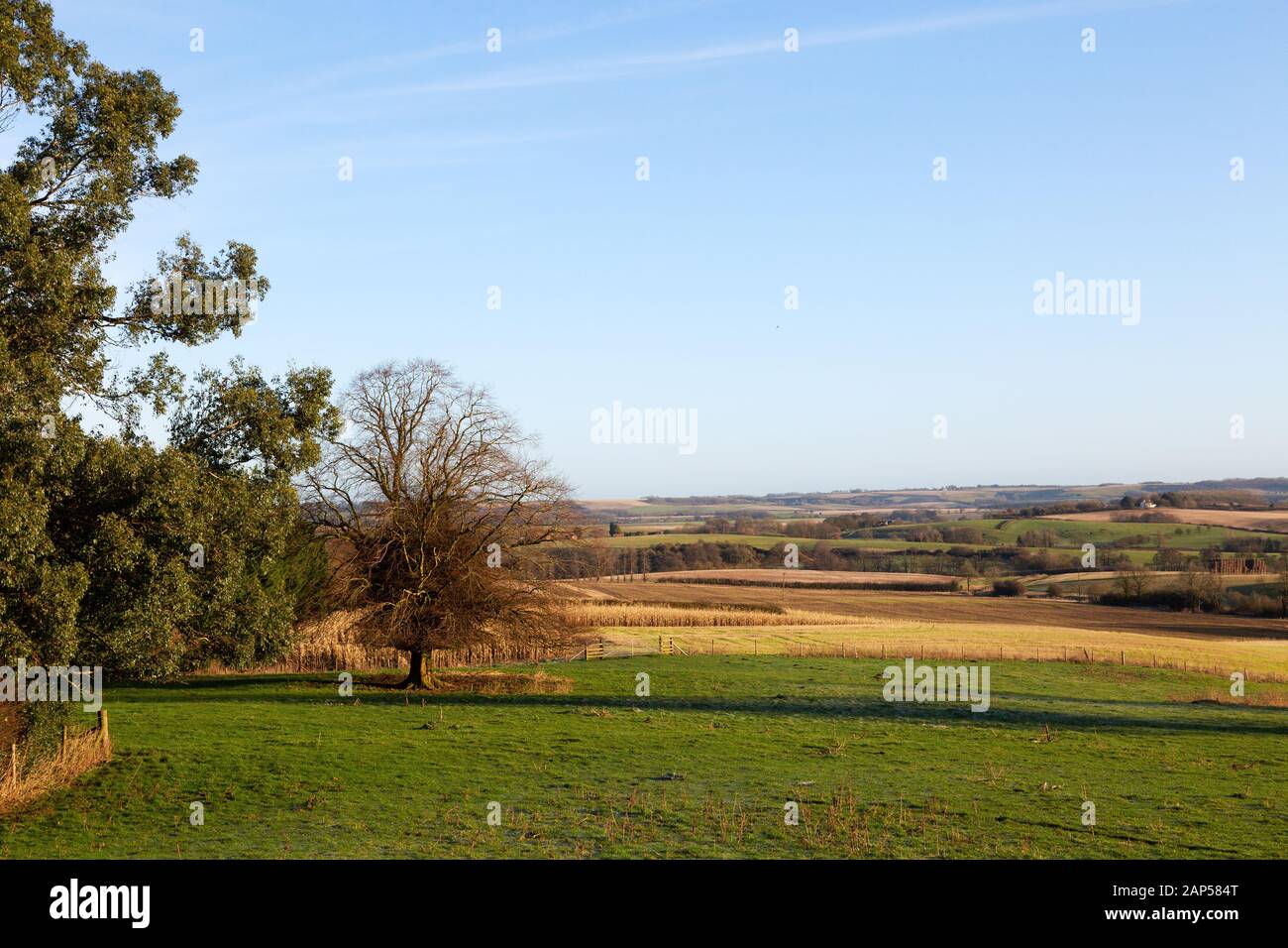 Die Landschaft von Lincoln, Großbritannien - ein Blick über die Landschaft im Süden von Lincoln, an einem sonnigen Tag im Januar, im Dorf Lusby, in der Grafschaft Lincoln, Großbritannien Stockfoto