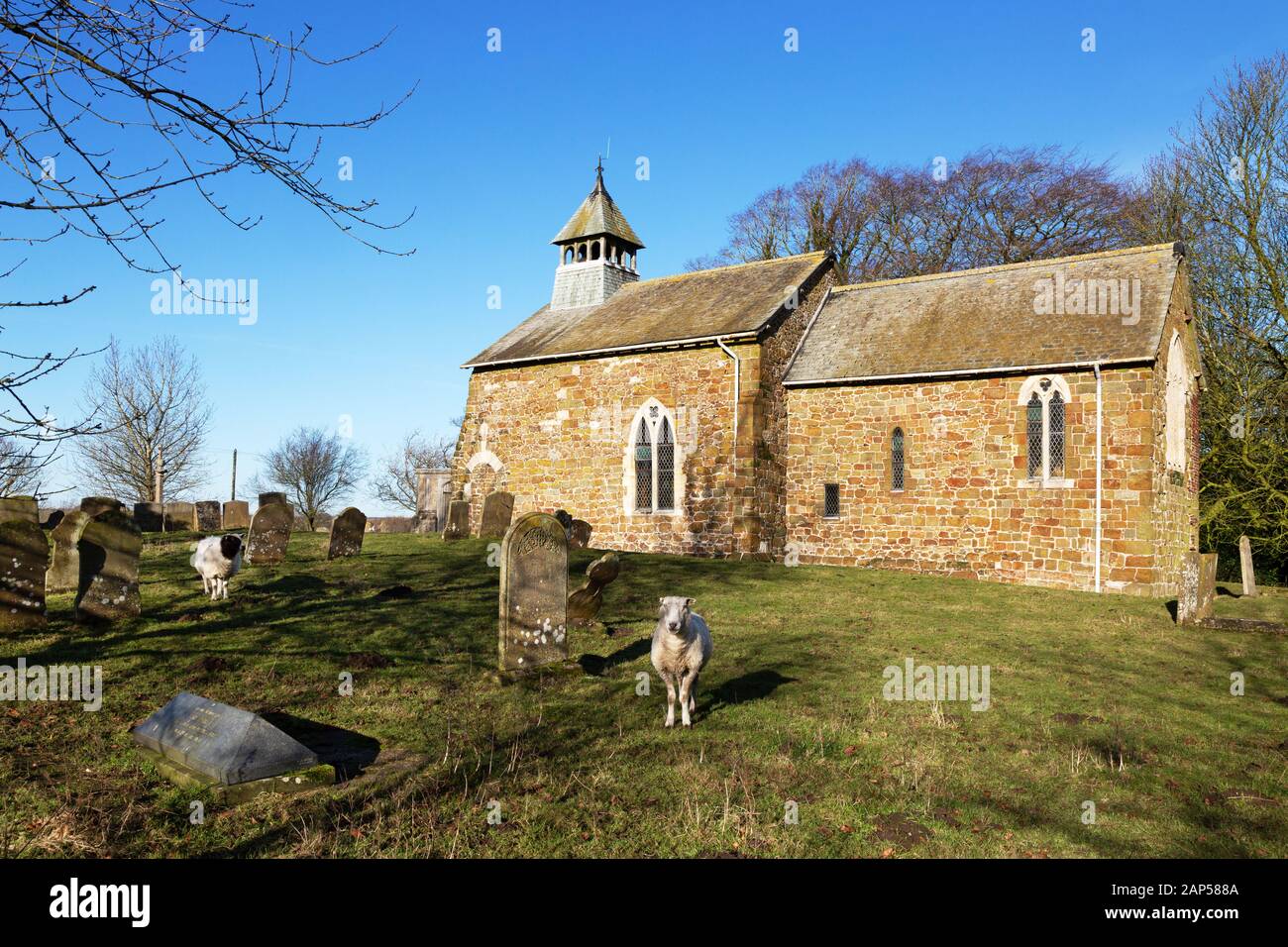 Alte englische Kirchen; St Peters Church, Lusby Lincoln, eine normannische Kirche aus dem 11. Jahrhundert mit Schafweiden im Kirchenhof, Lusby, Lincoln, UK Stockfoto