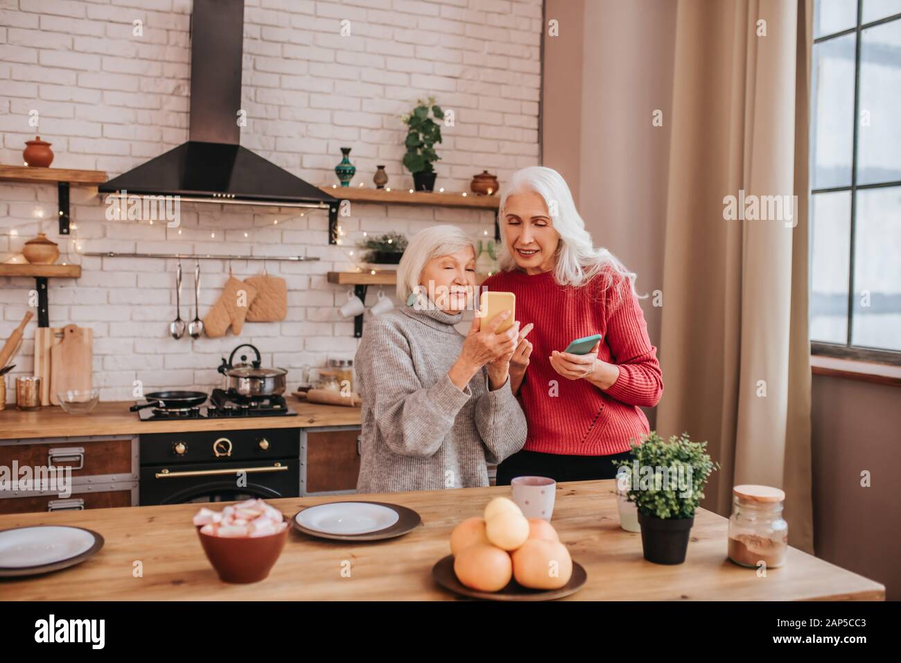 Zwei ältere Grauhaarige positive Damen Fotos ansehen Online Stockfoto