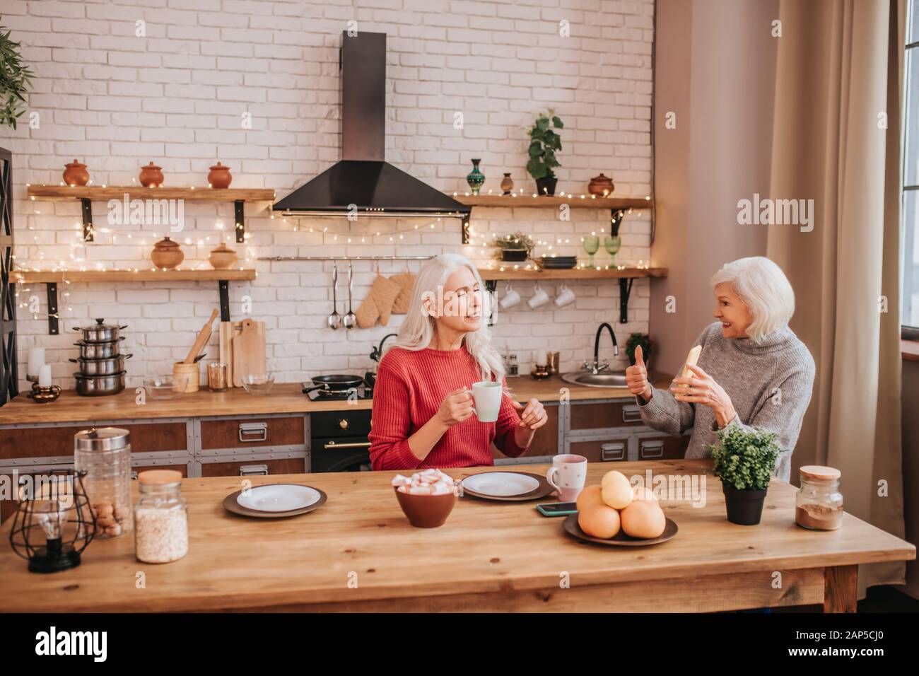 Zwei ältere Grauhaarige positive Damen Fotos im Internet Stockfoto