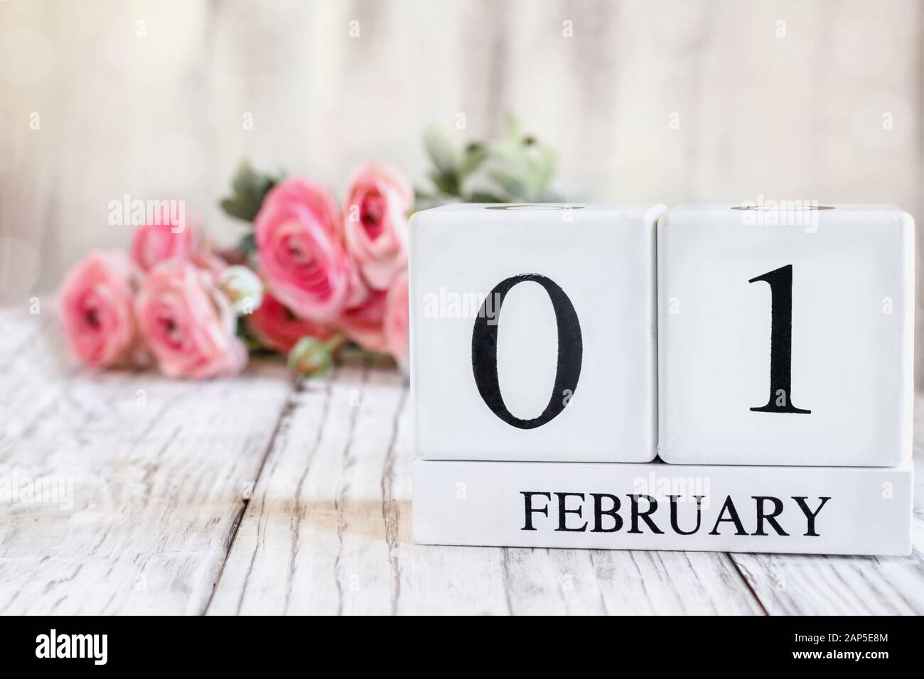 Kalender aus weißem Holz mit Datum 1. Februar. Selektiver Fokus mit pinkfarbenem Ranunculus im Hintergrund über einem Holztisch. Stockfoto