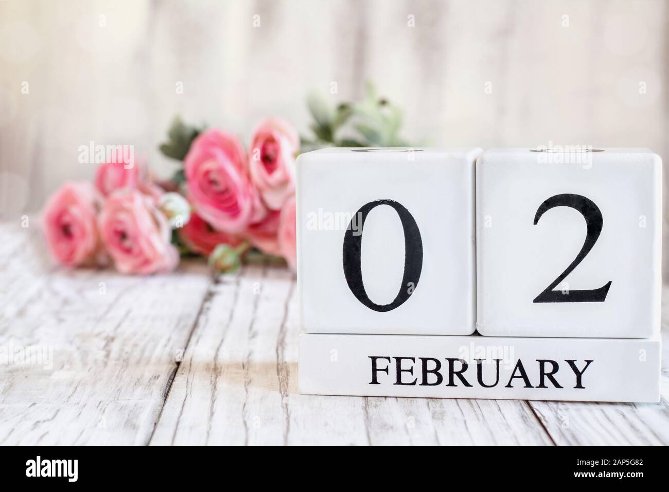 Kalender aus weißem Holz mit dem Datum 2. Februar. Selektiver Fokus mit pinkfarbenem Ranunculus im Hintergrund über einem Holztisch. Stockfoto