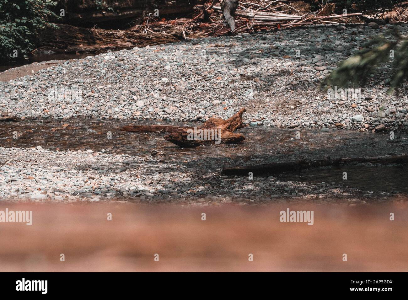 Tijs kerstens foto -Fotos und -Bildmaterial in hoher Auflösung – Alamy