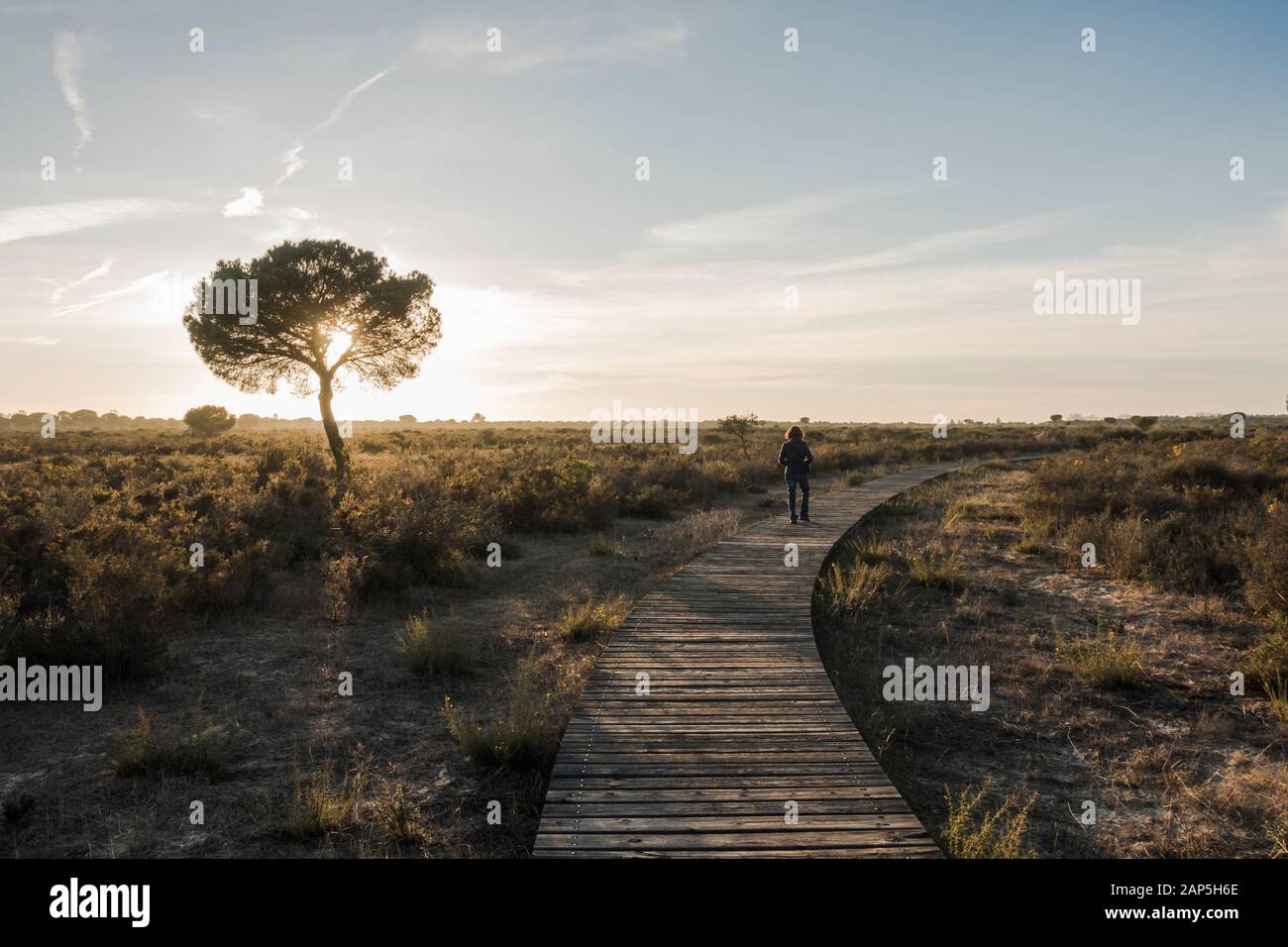 Eine Frau spaziert auf Holzstegen im Nationalpark Doñana, im Besucherzentrum La Rocina, in Huelva, Andalucia, Spanien. Stockfoto