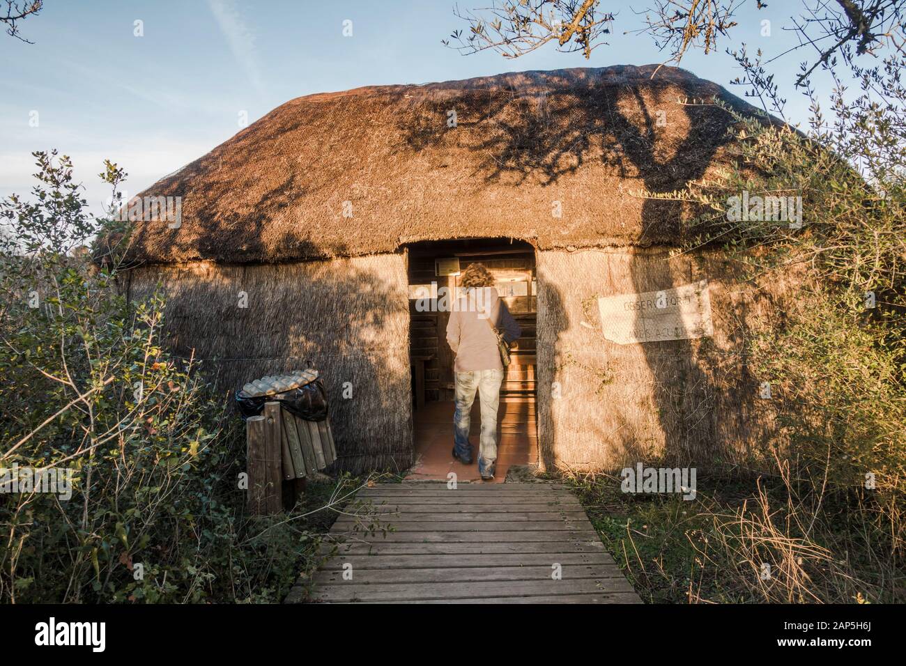 Frau, die in Vogelschutzgebiet eindringt, versteckt sich im Nationalpark Doñana, El Rocio, Huelva, Spanien. Stockfoto