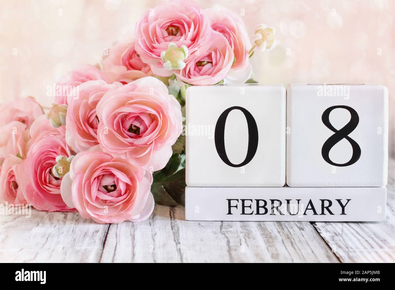 Weiße Holzkalendare mit dem Datum 8. Februar für den Internationalen Frauentag und rosafarbene Ranunculusblüten über einem Holztisch. Stockfoto