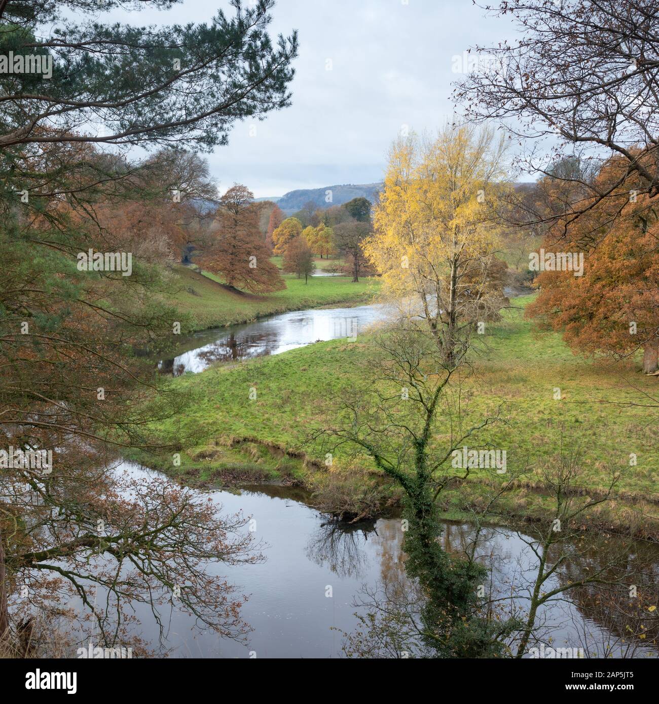 Mit Bäumen gesäumten Ufer des Flusses Leven in Levens Park, Cumbria Stockfoto