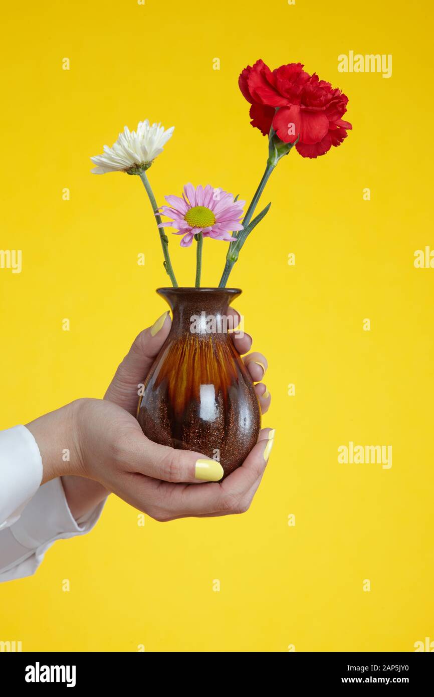Vase mit Blumen in der Hand Stockfoto