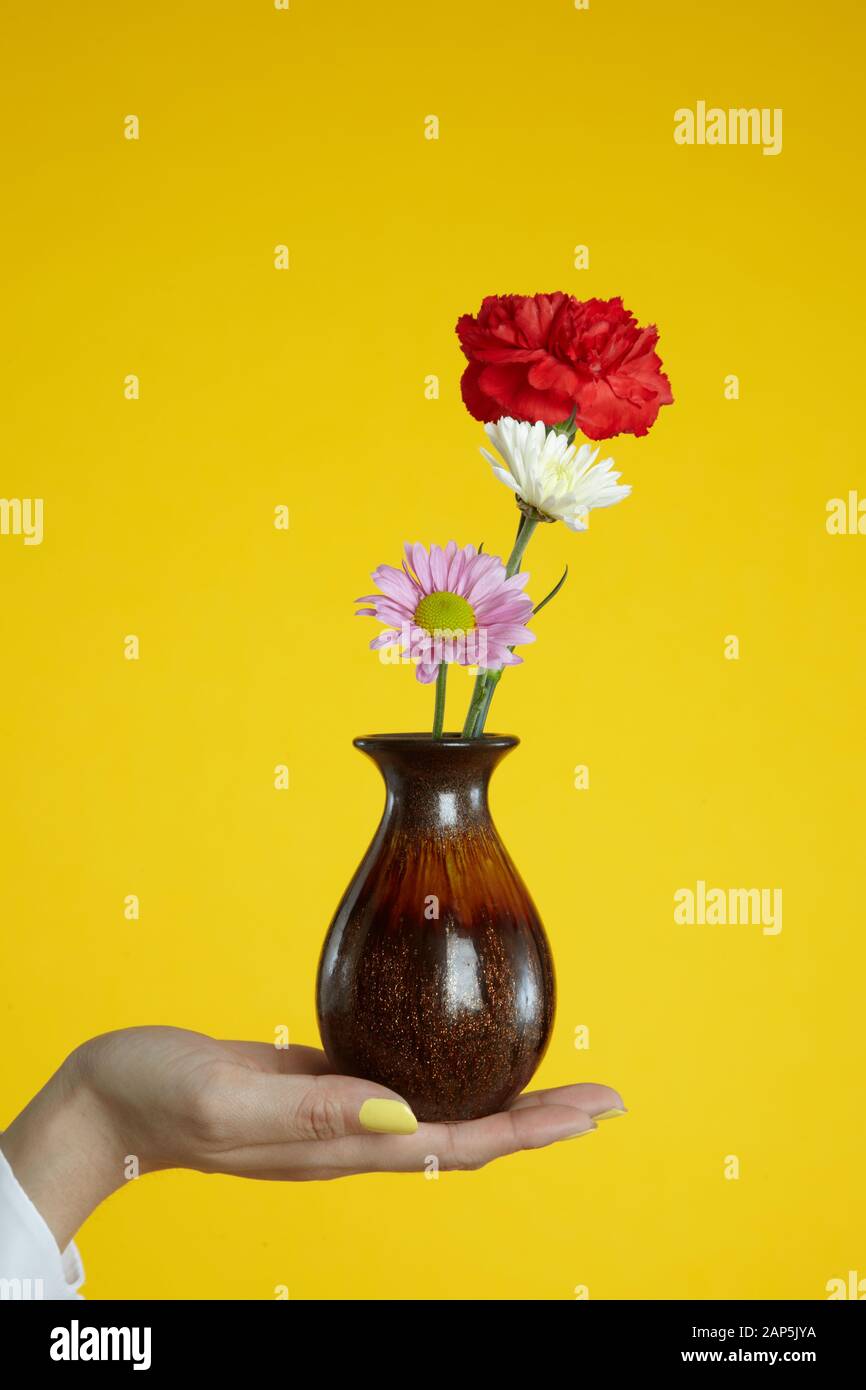 Vase mit Blumen in der Hand Stockfoto