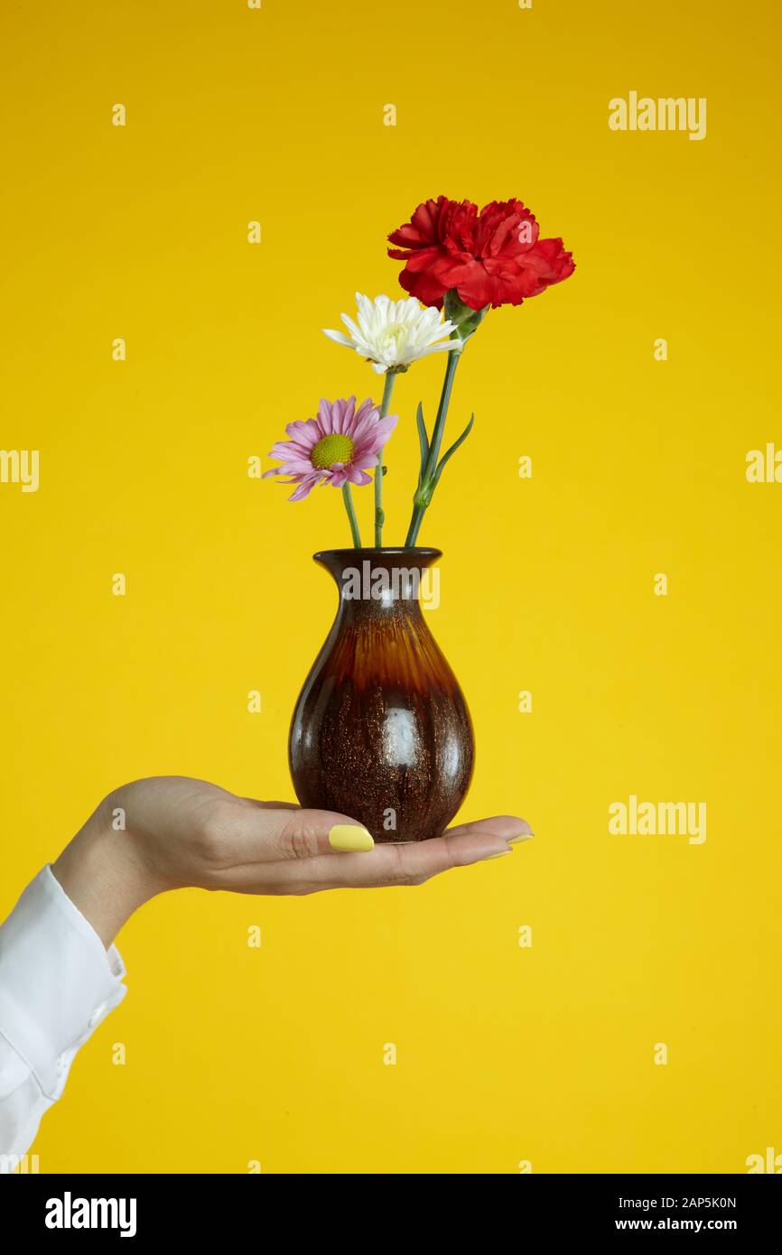 Hand mit Vase aus Blumen Stockfoto