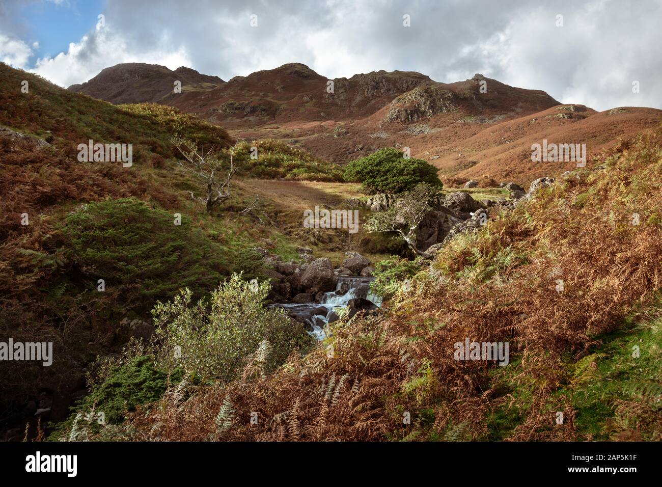 Der Sourmilk Gill in der Nähe von Gasmere im Lake District, Cumbira Stockfoto