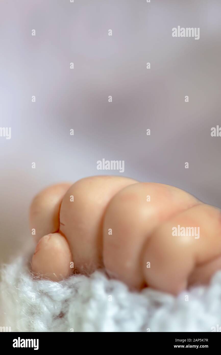 Wiedergeborene Babypuppen handhaben pink blauen Hintergrund selektive Fokusaufnahme für den Kopierbereich Stockfoto