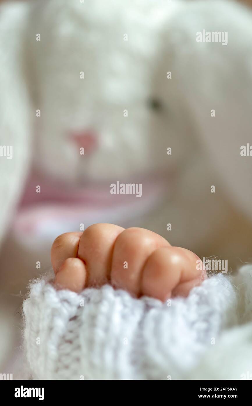 Wiedergeborene Babypuppen geben ein kleines Spielzeug im Hintergrund, das selektiv im Fokus steht, um für den Kopierbereich zu fotografieren Stockfoto