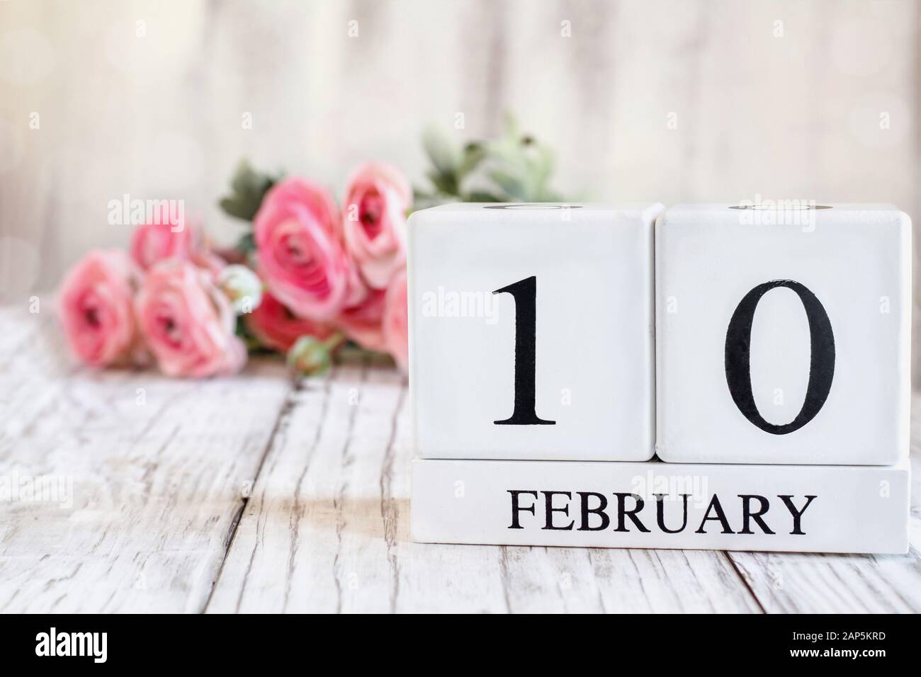Weiße Holzkalendarkaden mit dem Datum am 10. Februar. Selektiver Fokus mit pinkfarbenem Ranunculus im Hintergrund über einem Holztisch. Stockfoto