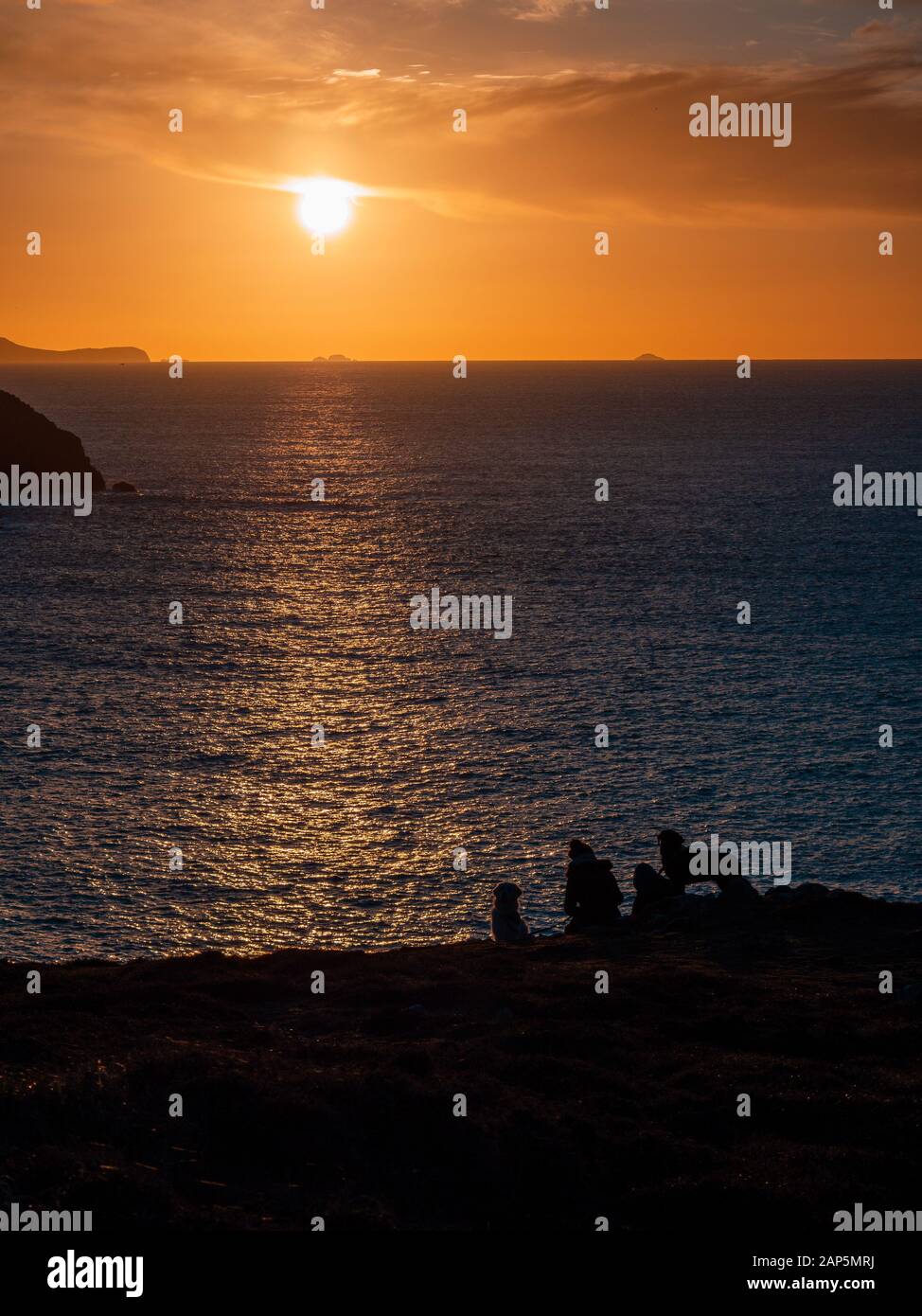 Silhouette einer Familie mit Hunden bei Sonnenuntergang in Pembrokeshire, Wales Stockfoto
