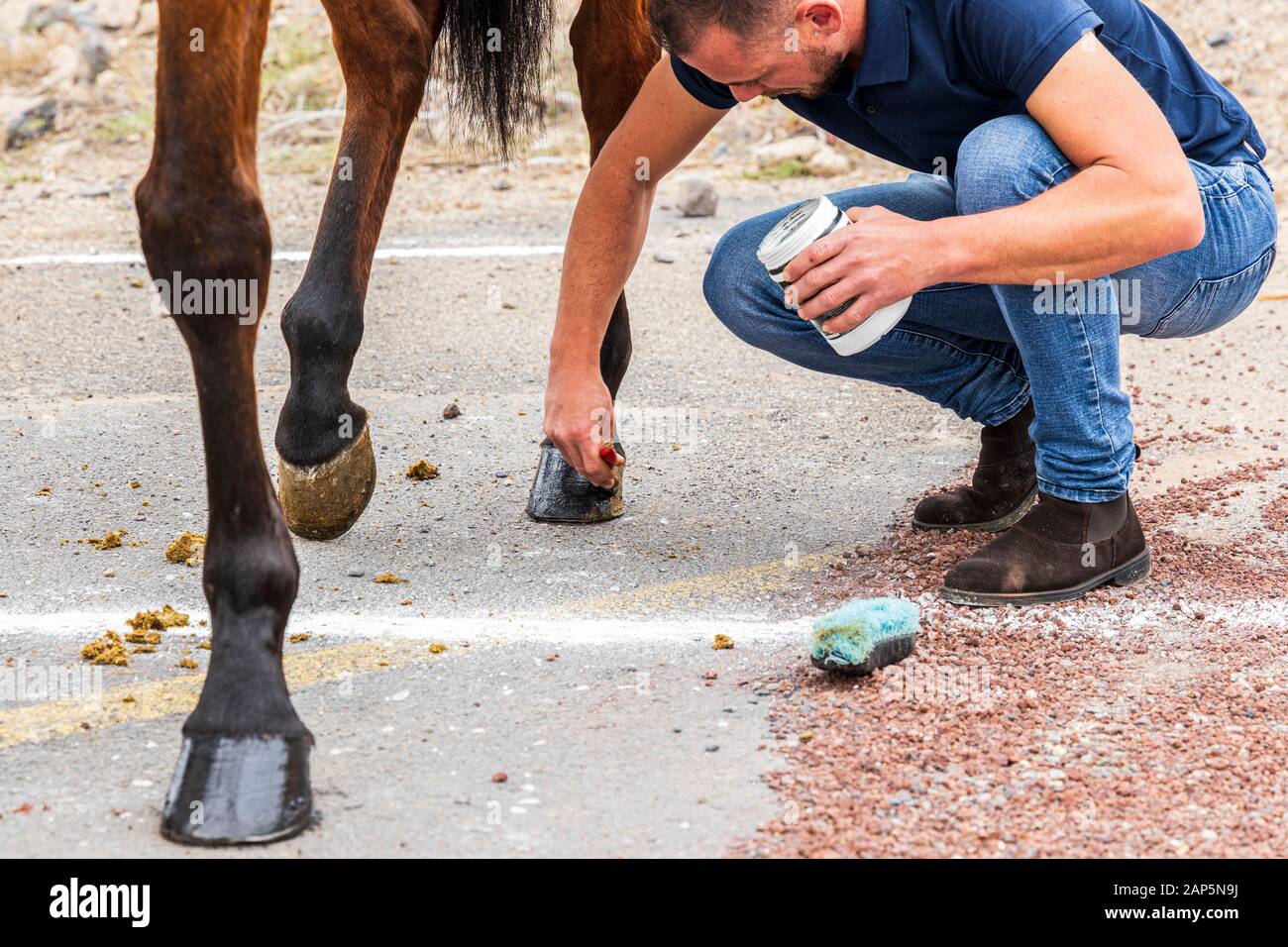 Reiter bereitet ihre Reittiere, malen die Pferde Hufe schwarz, für die San Sebastian Fiesta. Jedes Jahr die Tiere hier auf der Heiligen da getroffen werden, Stockfoto Reiter bereitet ihre Reittiere, malen die Pferde Hufe schwarz, für die San Sebastian Fiesta. Jedes Jahr die Tiere hier auf der Heiligen da getroffen werden, Stockfoto