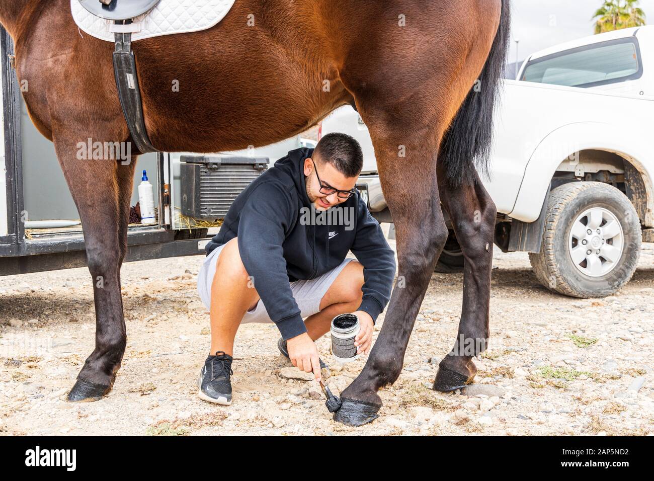 Reiter bereitet ihre Reittiere, malen die Pferde Hufe schwarz, für die San Sebastian Fiesta. Jedes Jahr die Tiere hier auf der Heiligen da getroffen werden, Stockfoto