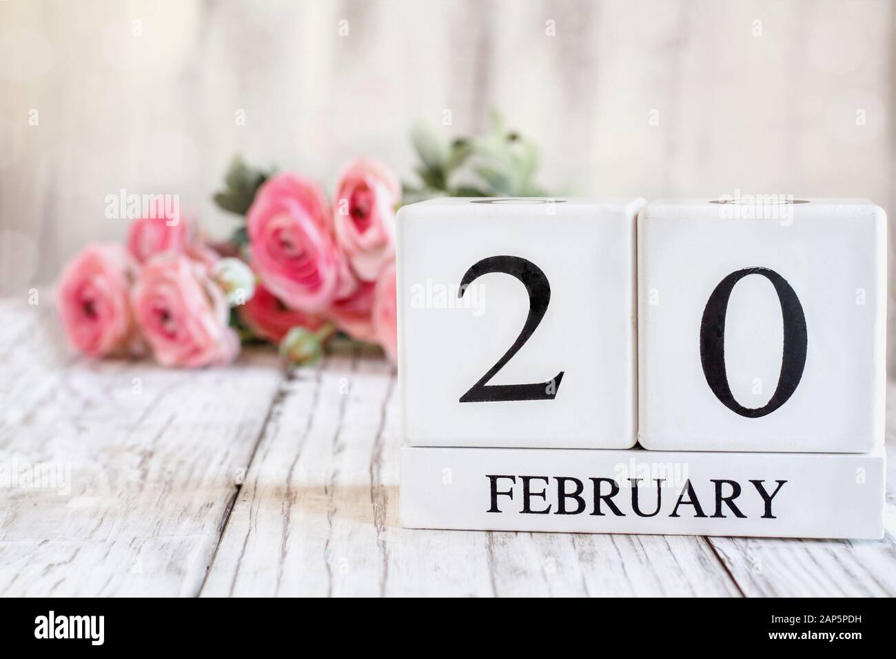Weiße Holzkalendarkaden mit dem Datum 20. Februar. Selektiver Fokus mit pinkfarbenem Ranunculus im Hintergrund über einem Holztisch. Stockfoto