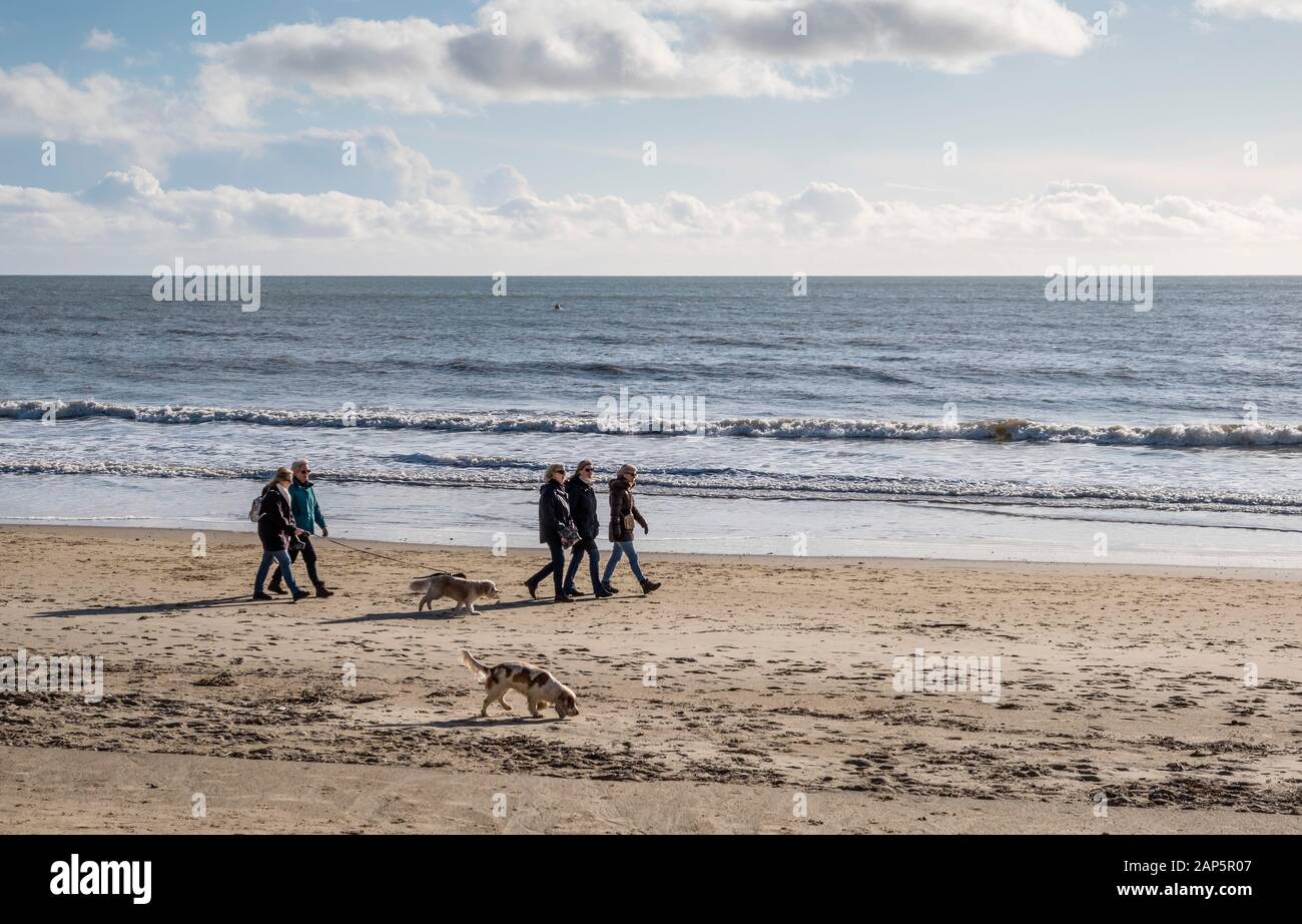 Bournemouth Beach mit Hundegängern im Winter Stockfoto