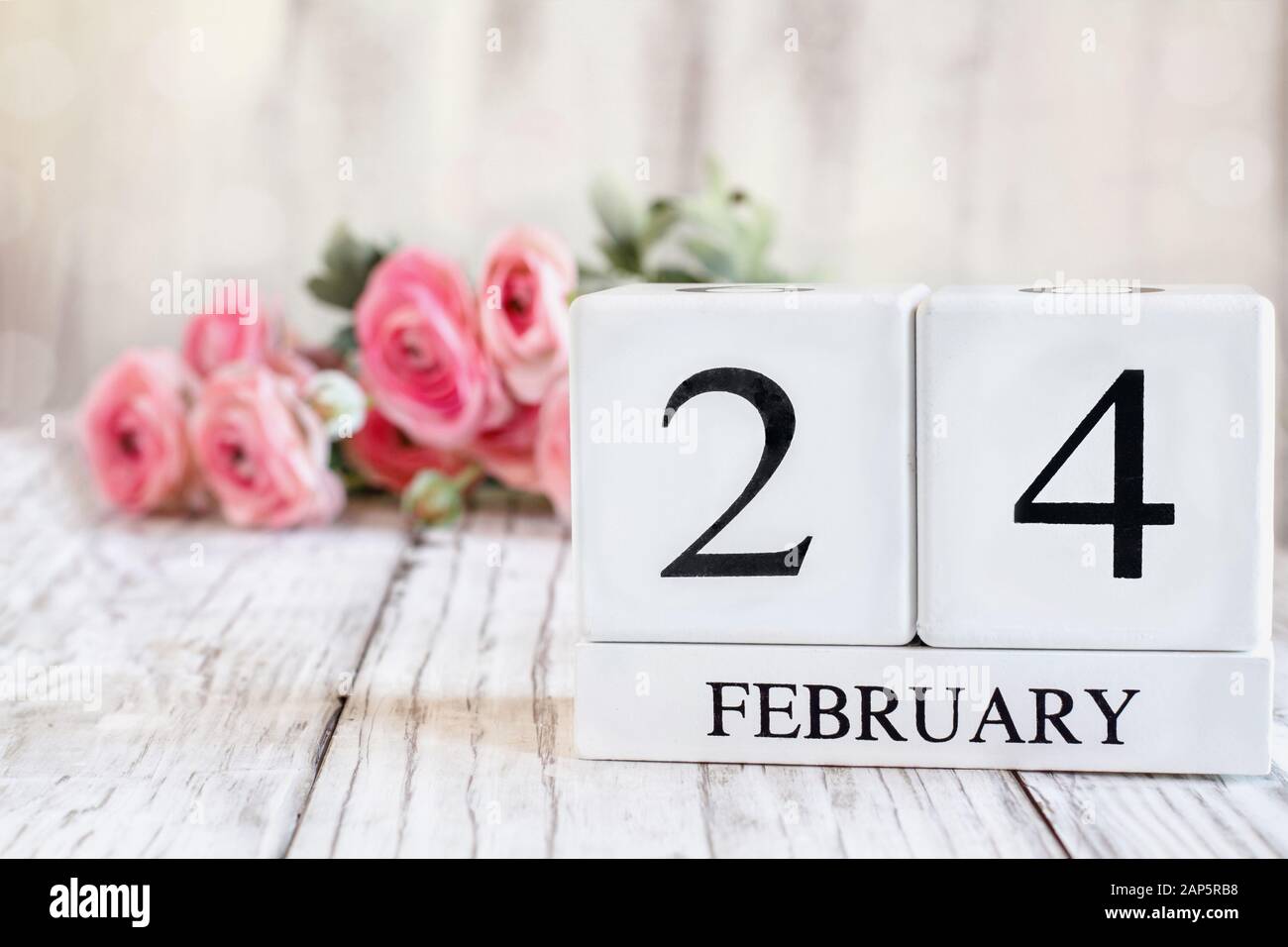 Weiße Holzkalendarkaden mit dem Datum am 24. Februar. Selektiver Fokus mit pinkfarbenem Ranunculus im Hintergrund über einem Holztisch. Stockfoto