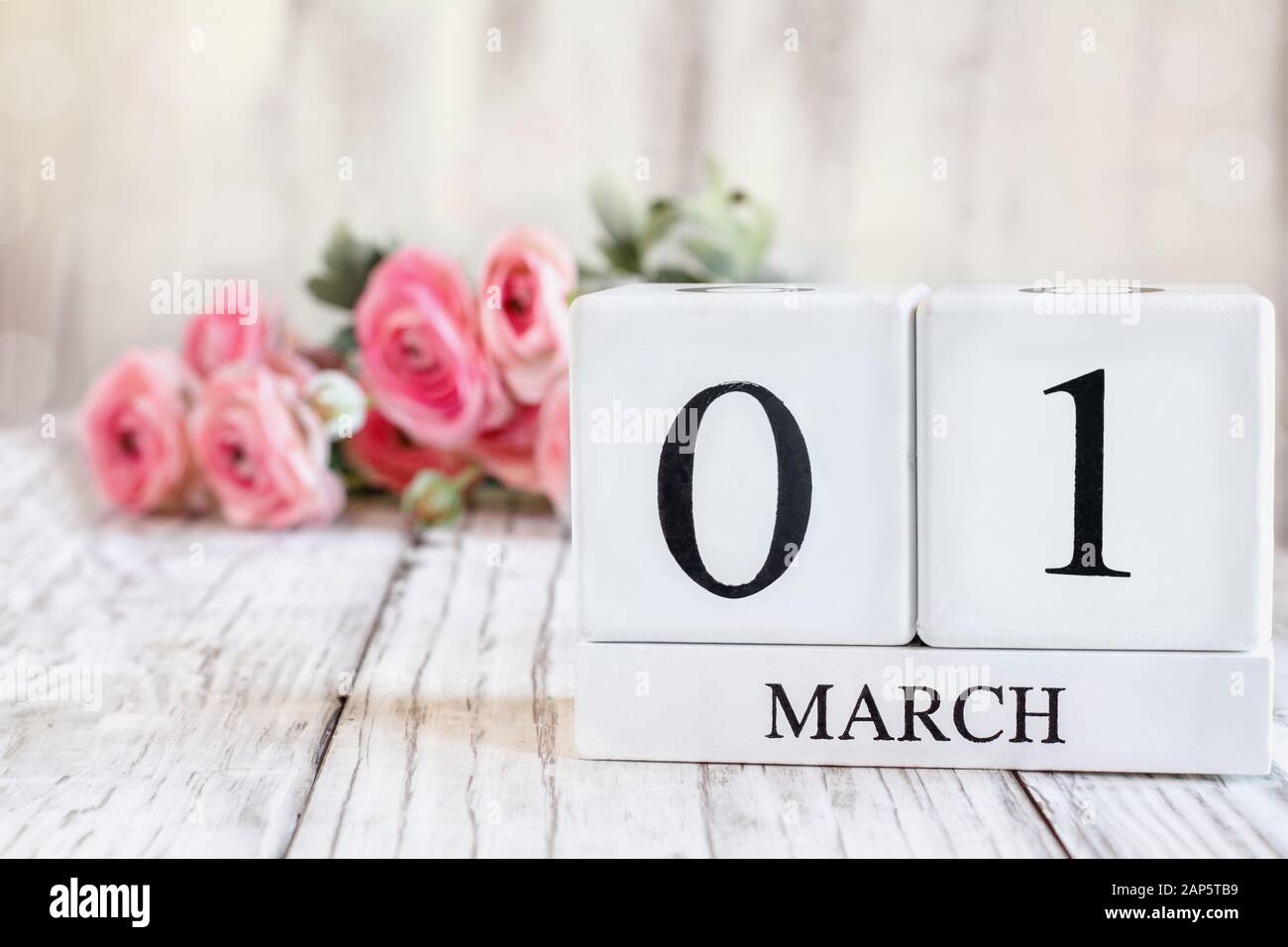 Kalender aus weißem Holz mit dem Datum 1. März. Selektiver Fokus mit pinkfarbenem Ranunculus im Hintergrund über einem Holztisch. Stockfoto