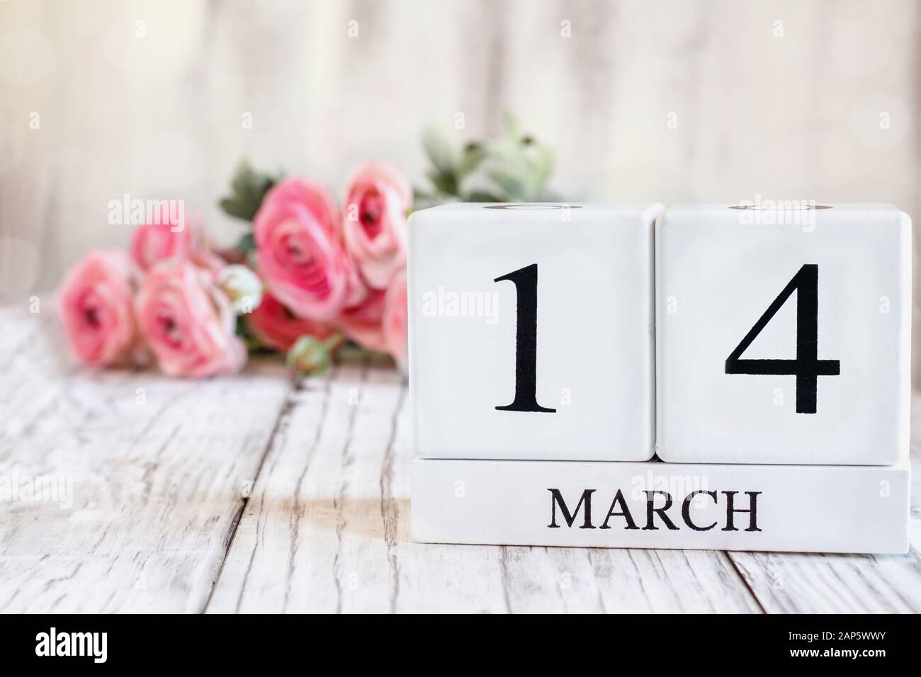 Weiße Holzkalendarkaden mit dem Datum 14. März. Selektiver Fokus mit pinkfarbenem Ranunculus im Hintergrund über einem Holztisch. Stockfoto