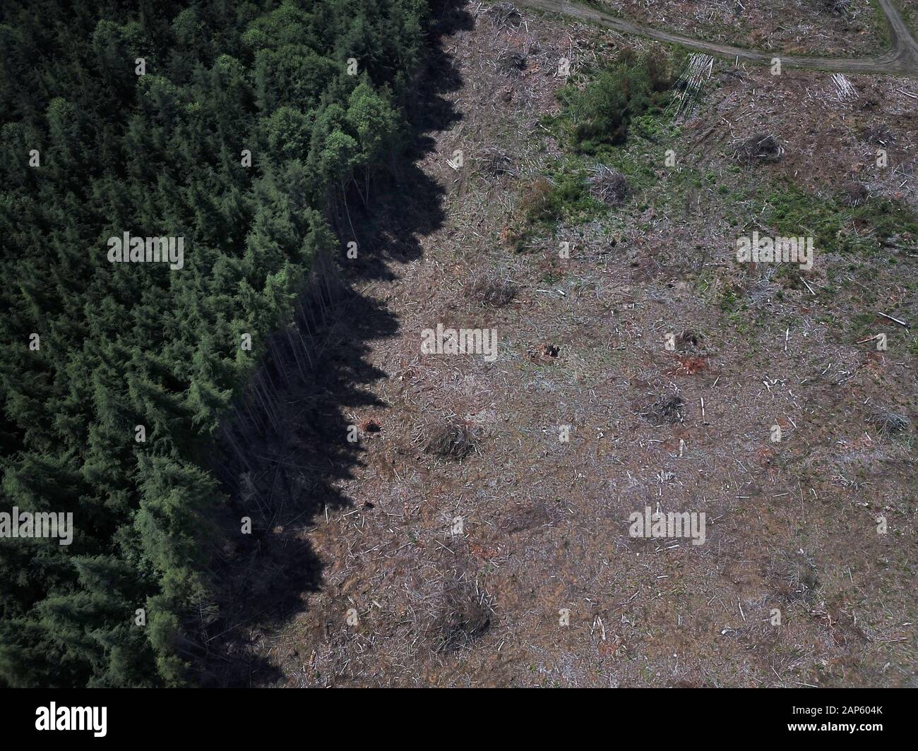 Drohnenantenne Clear Cut Logging Olympic Peninsula Stockfoto