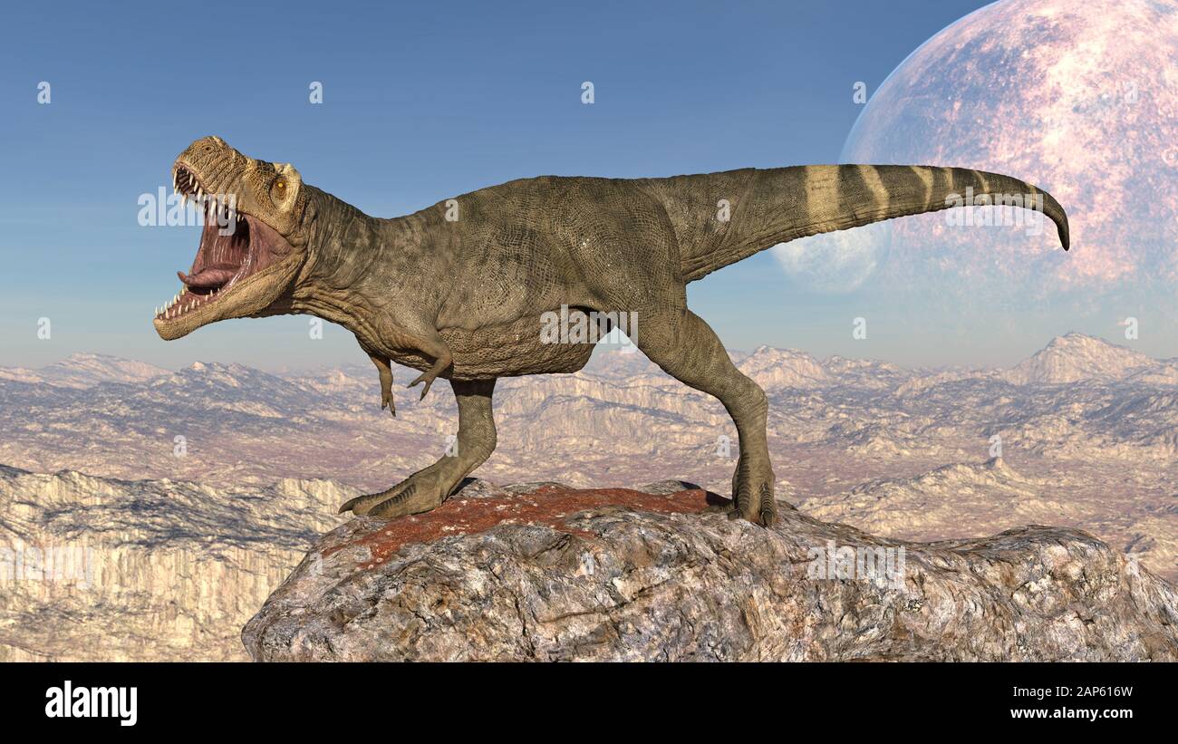 T-Rex Dinosaurier, Tyrannosaurus Rex Reptilien, prähistorische Tiere aus Juras, die auf Klippen in einer menschenleeren Natur brüten, 3D-Illustration Stockfoto