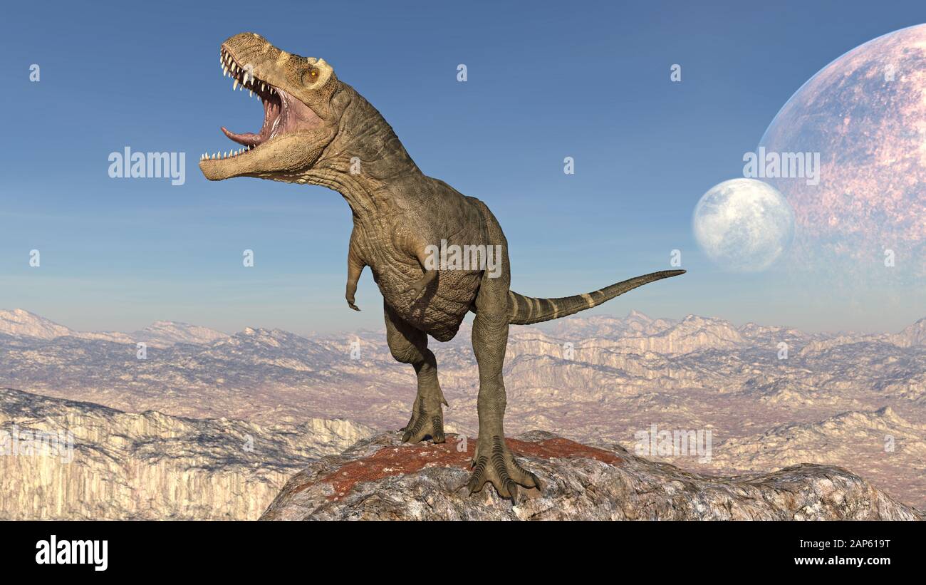 T-Rex Dinosaurier, Tyrannosaurus Rex Reptilienröhrchen auf Felsen, prähistorisches Jura-Tier in menschenleerer Natur, 3D-Illustration Stockfoto